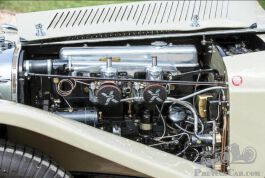 Jaguar%205.JPG